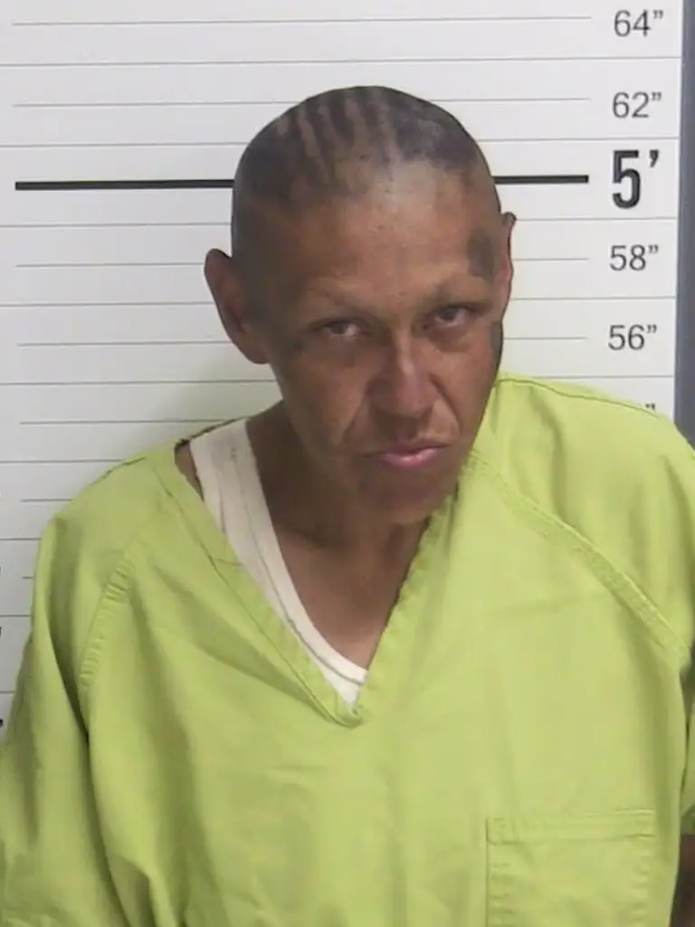 A recent mugshot of Monica. Credit: Curry County