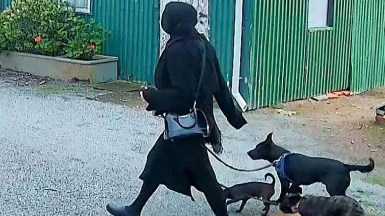 Police had earlier released CCTV of Chesser walking near her home in all black accompanied by three dogs. Credit: South Australia Police