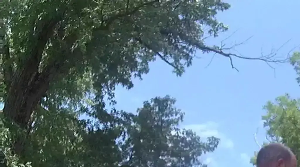 Heart-stopping video shows rescue of 1-year-old boy who fell 9 foot down a narrow pipe in family's back yard