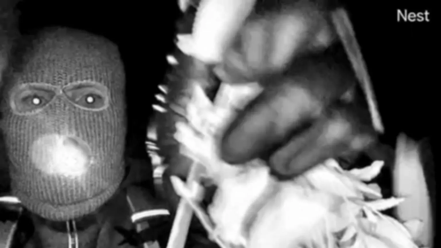 Credit: Kash Patel/Twitter