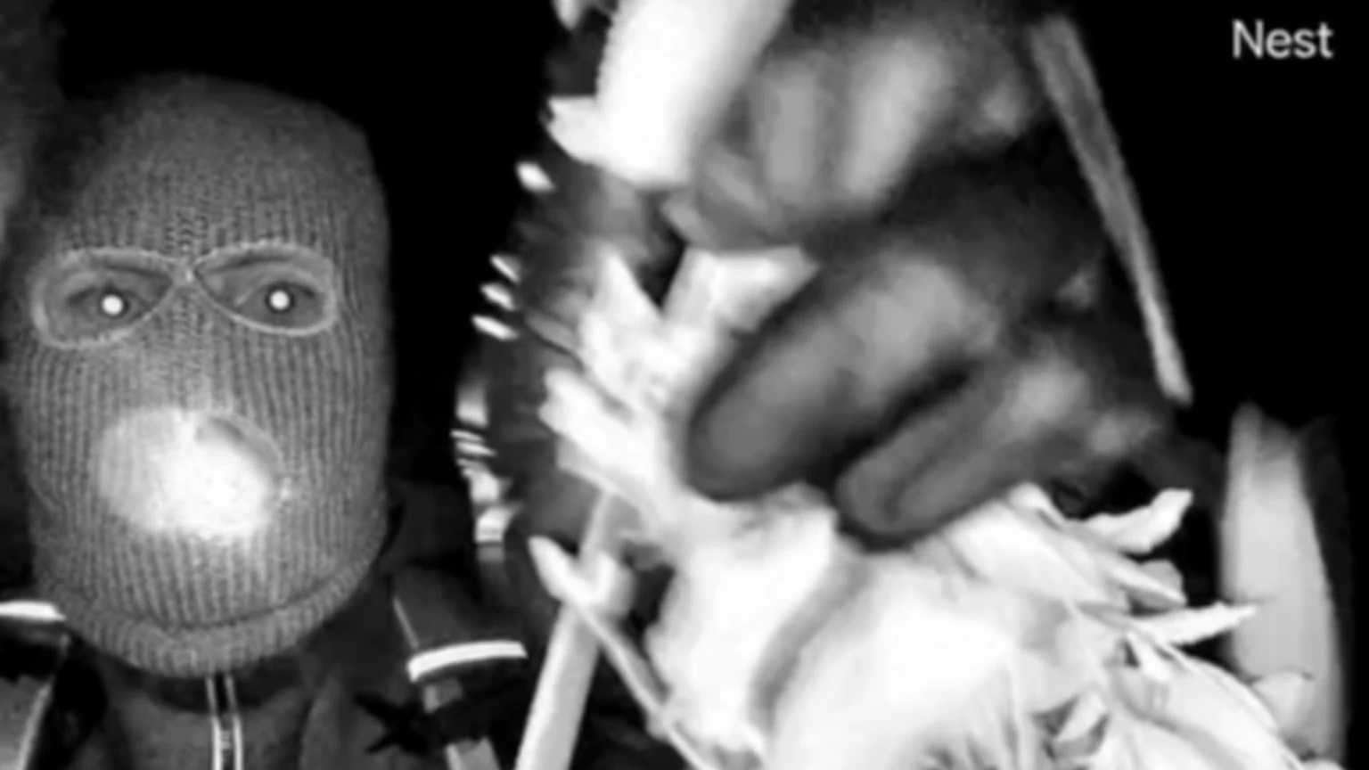 Credit: Kash Patel/Twitter