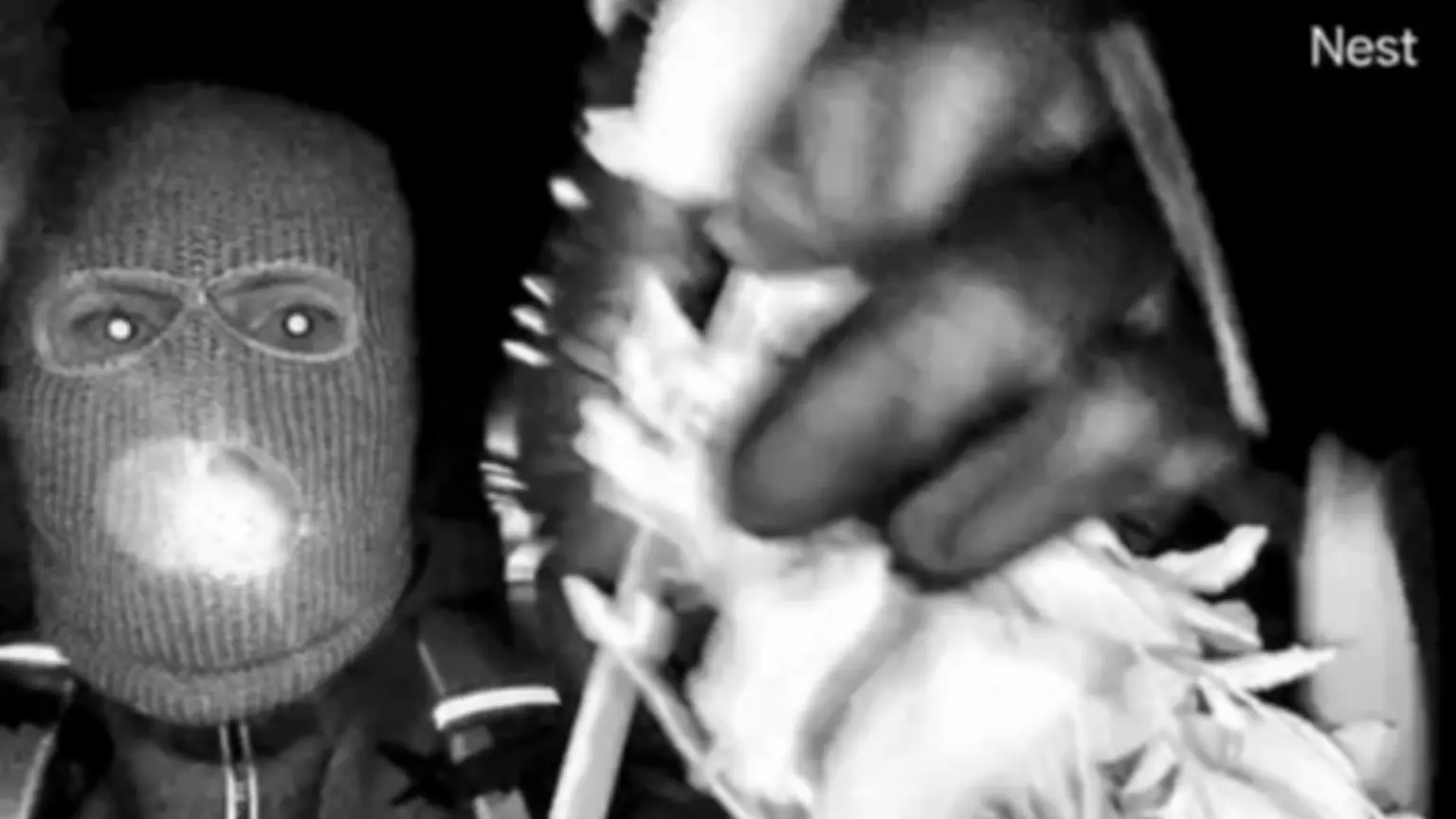 Credit: Kash Patel/Twitter