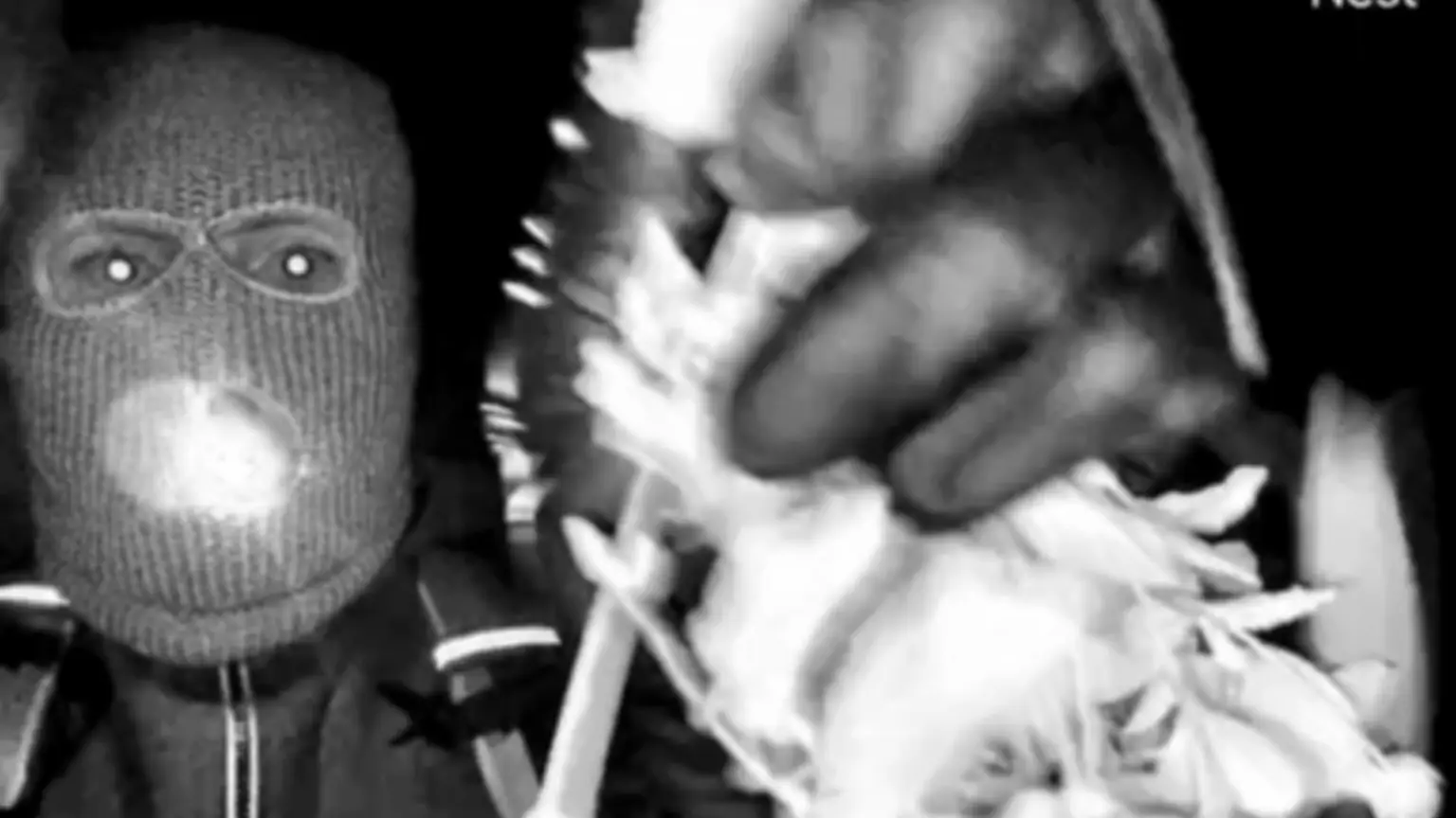 Credit: Kash Patel/Twitter