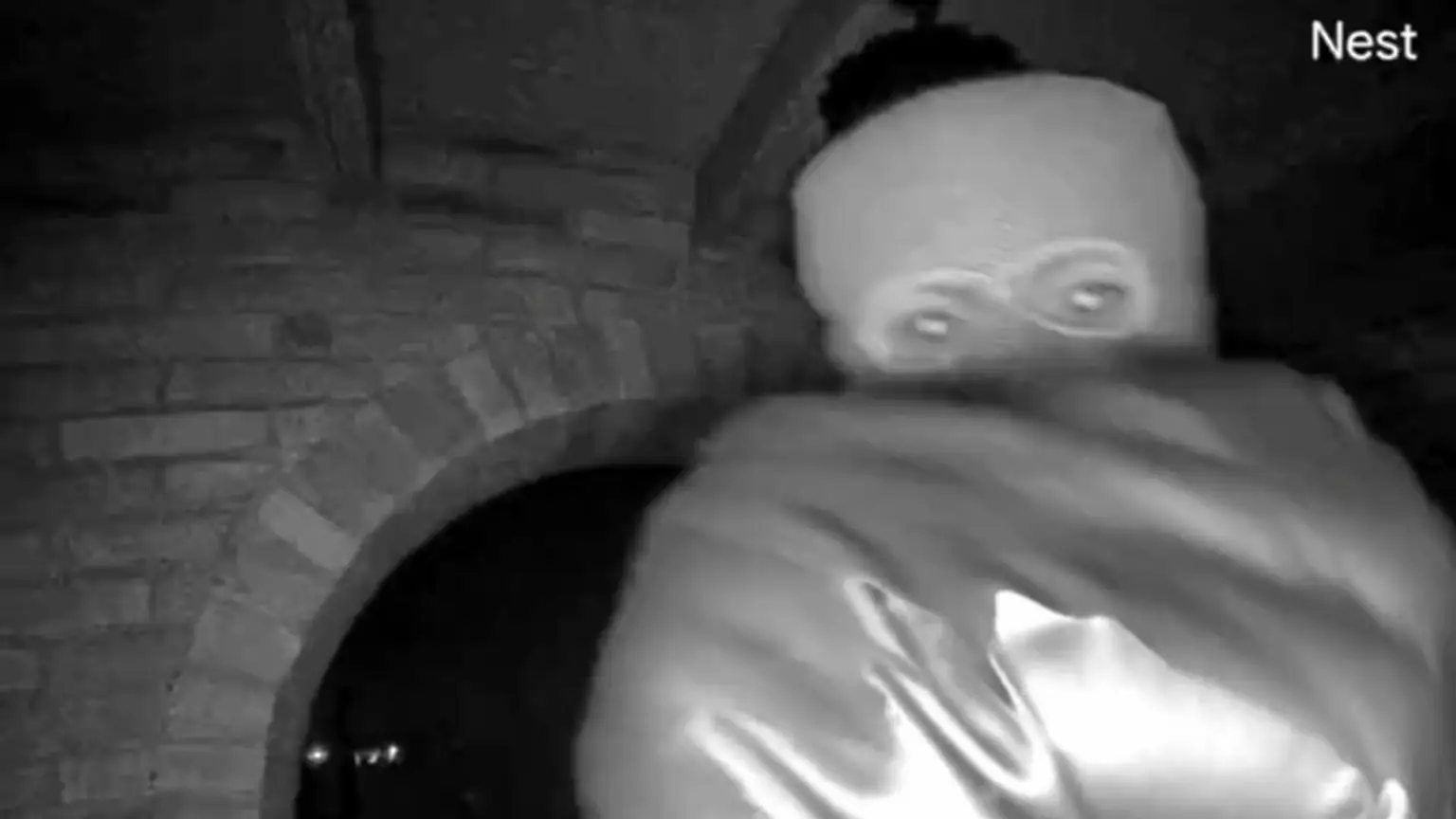 Credit: Kash Patel/Twitter