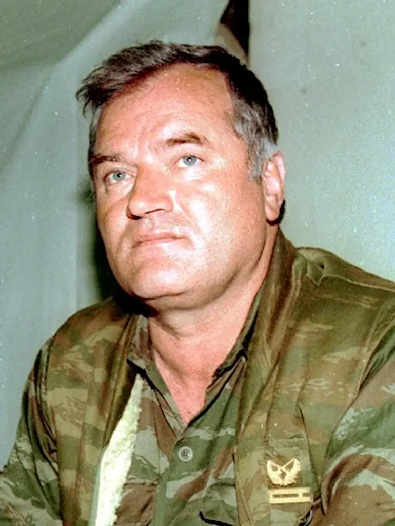 Ratko Mladic. Credit: Wikimedia Commons/Evstafiev Mikhail
