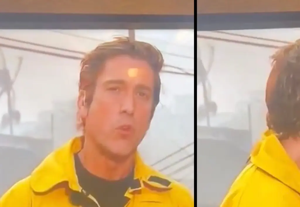ABC reporter David Muir receives support from stars after being criticized over clothes peg