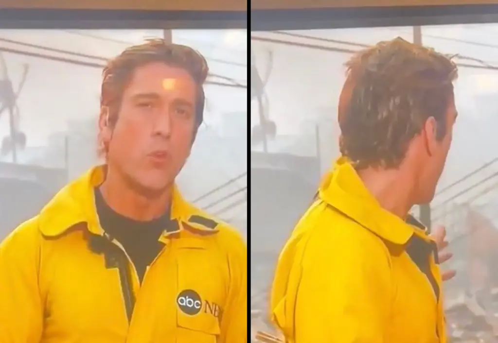 ABC reporter David Muir receives support from stars after being criticized over clothes peg