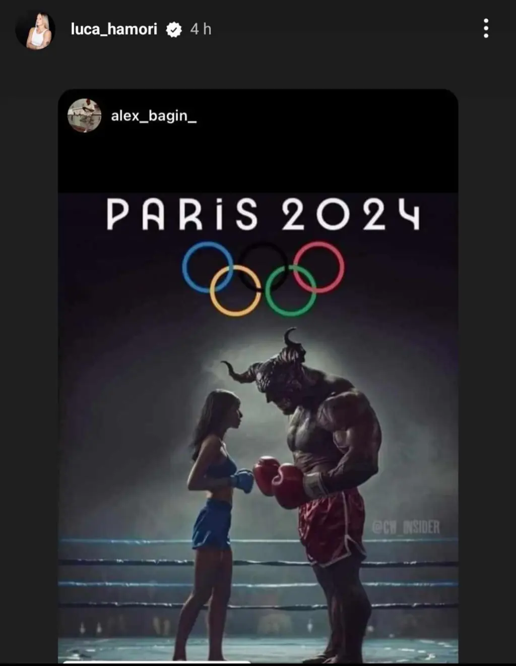 The image shared on Hamori's story. Credit: Luca Hamori / Instagram