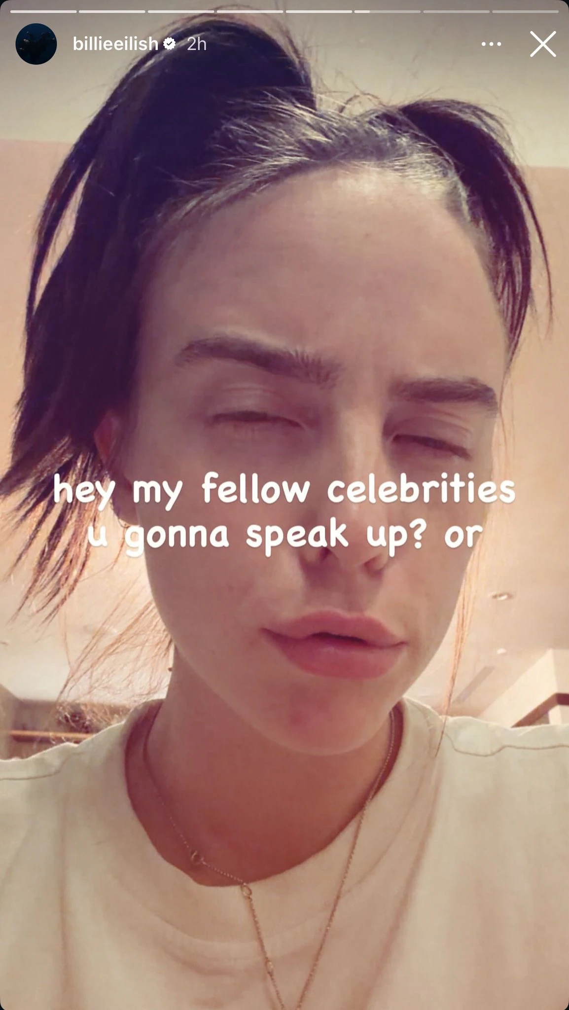 Billie Eilish has called out her fellow stars. Credit: Instagram