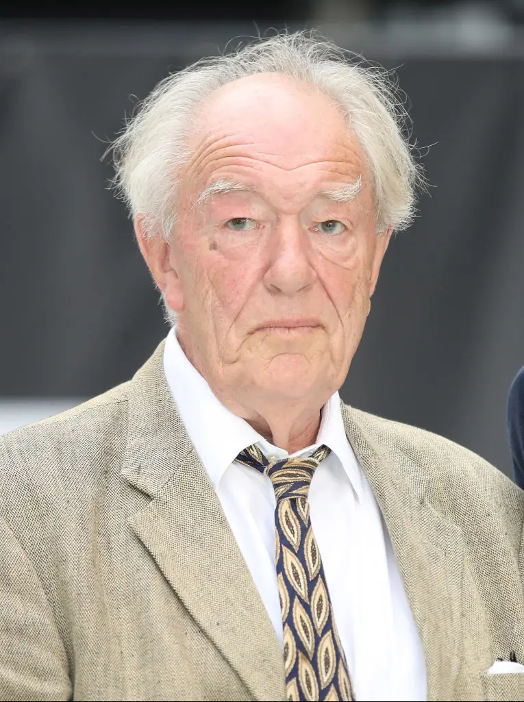 Gambon played Dumbledore from the third film. Credit: Mike Marsland / Getty