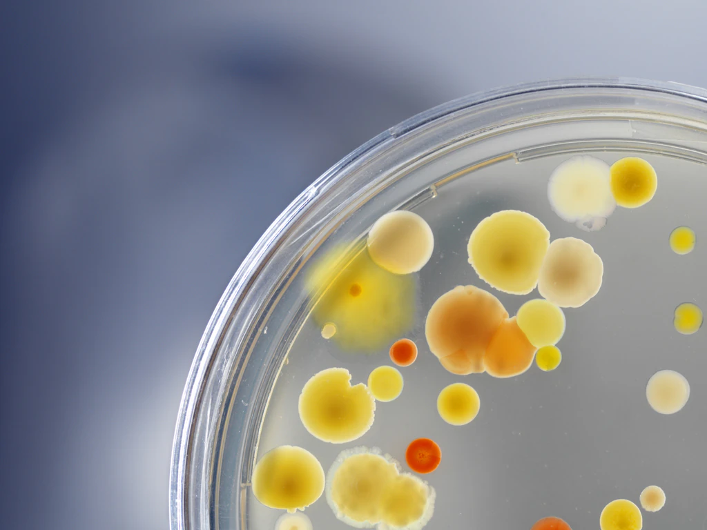 'Mysterious bacteria' with 'unique abilities' is found living on Chinese space station