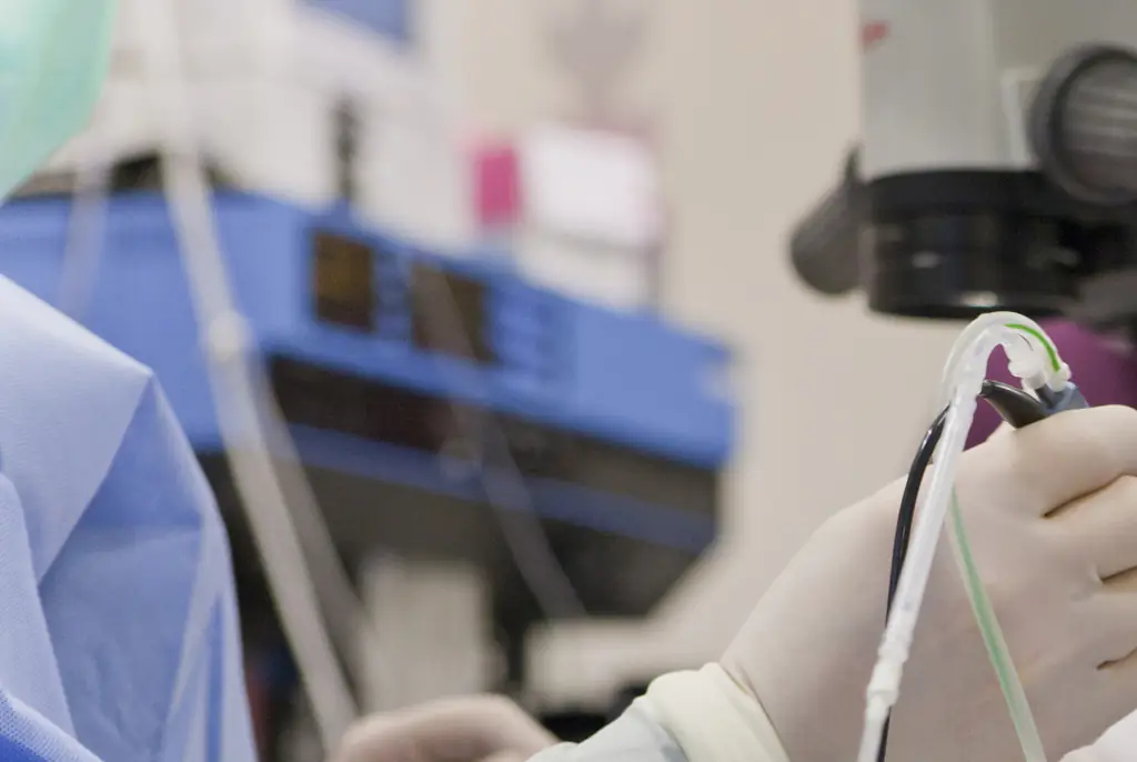 A decade after losing her sight - woman can see again through her tooth