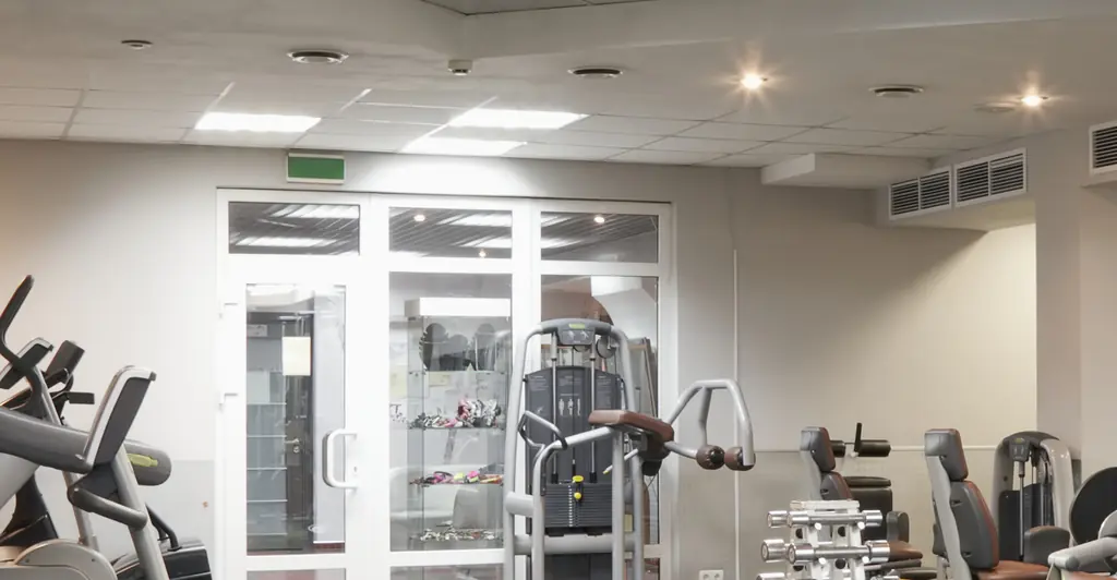 Joey Swoll gives update on OnlyFans star who filmed herself doing 'absolutely disgusting' act in gym