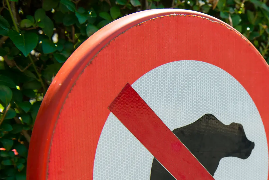 Flushing your pets poo could have consequences. Credit: Stefan Cristian Cioata / Getty