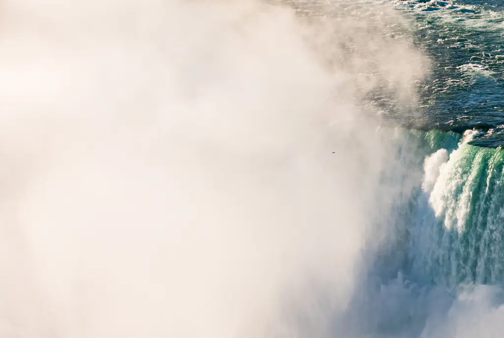 The mother-of-two jumped into the Falls with her two children. Credit: LeoPatrizi/Getty Images 