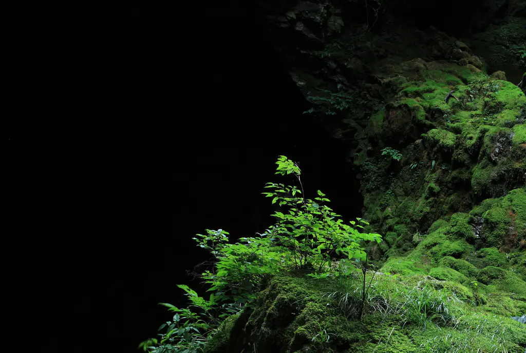 Hiker discovers 'embarrassing' truth about China's most famous waterfall