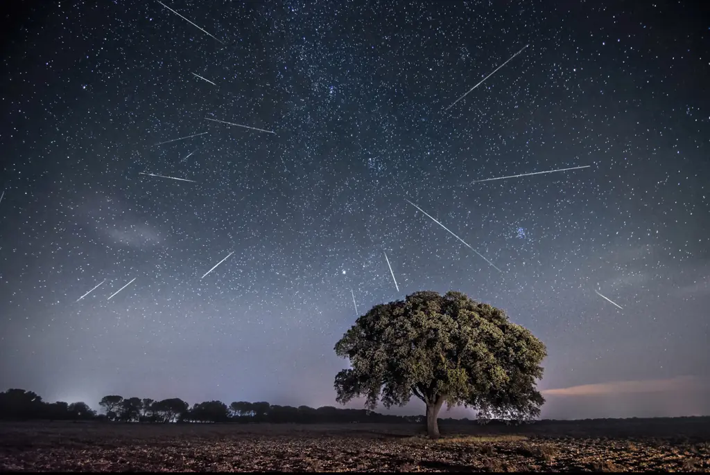 A major Perseids Meteor Shower is set to hit this weekend. Credit: Gabriel Gonzalez (noctografia)/500px