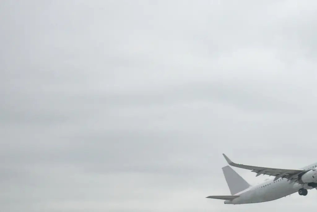 Hannah Kobayashi flew to Los Angeles from Hawaii to board a connecting flight to New York City. Credit: Taro Hama @ e-kamakura / Getty