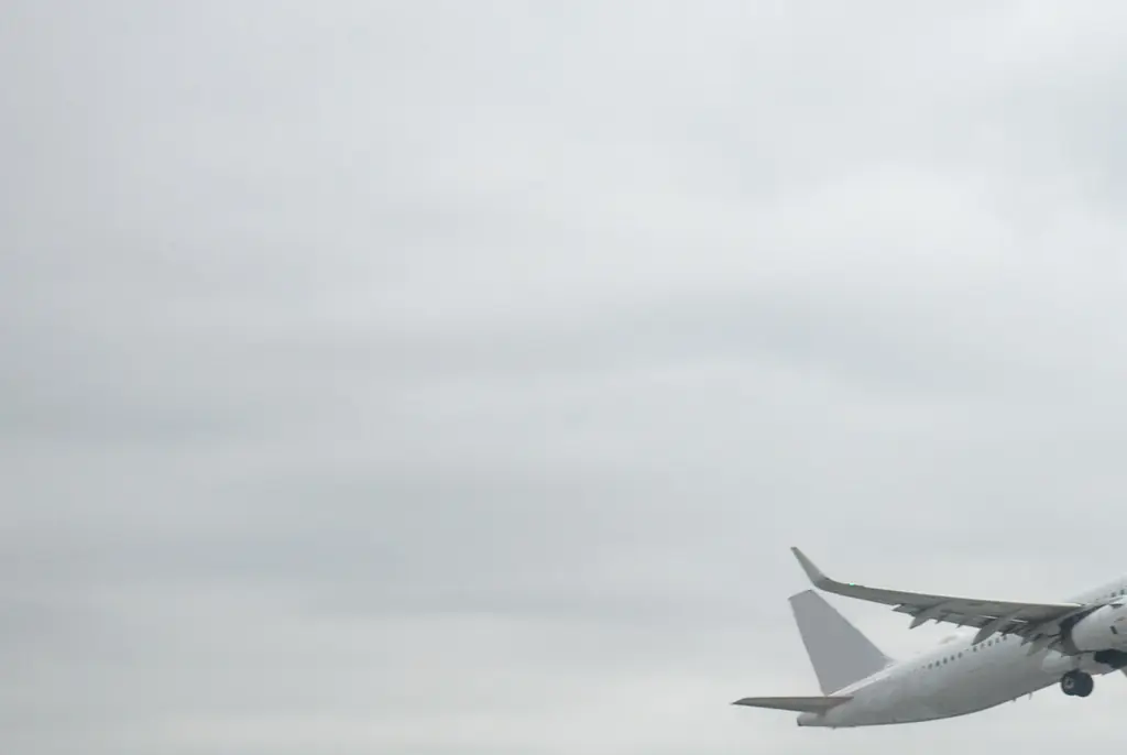 flew to Los Angeles from Hawaii to board a connecting flight to New York City.Credit: Taro Hama @ e-kamakura / Getty