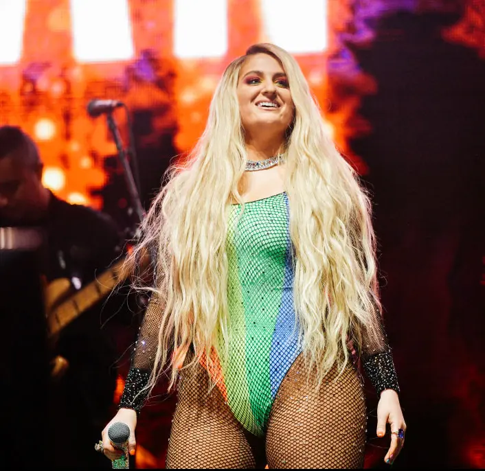 Meghan Trainor (pictured here in 2019) has revealed her incredible new look. Credit: Matt Winkelmeyer/Getty Images