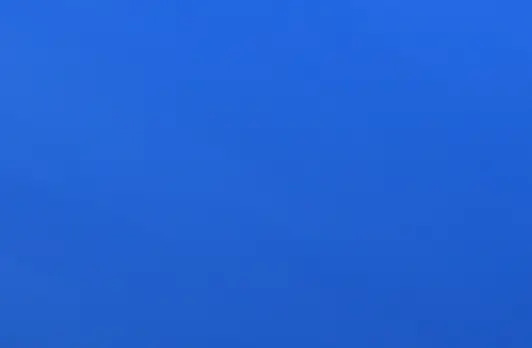 Cruise passengers 'terrified' after finding out why captain ordered them to switch off their lights and close curtains