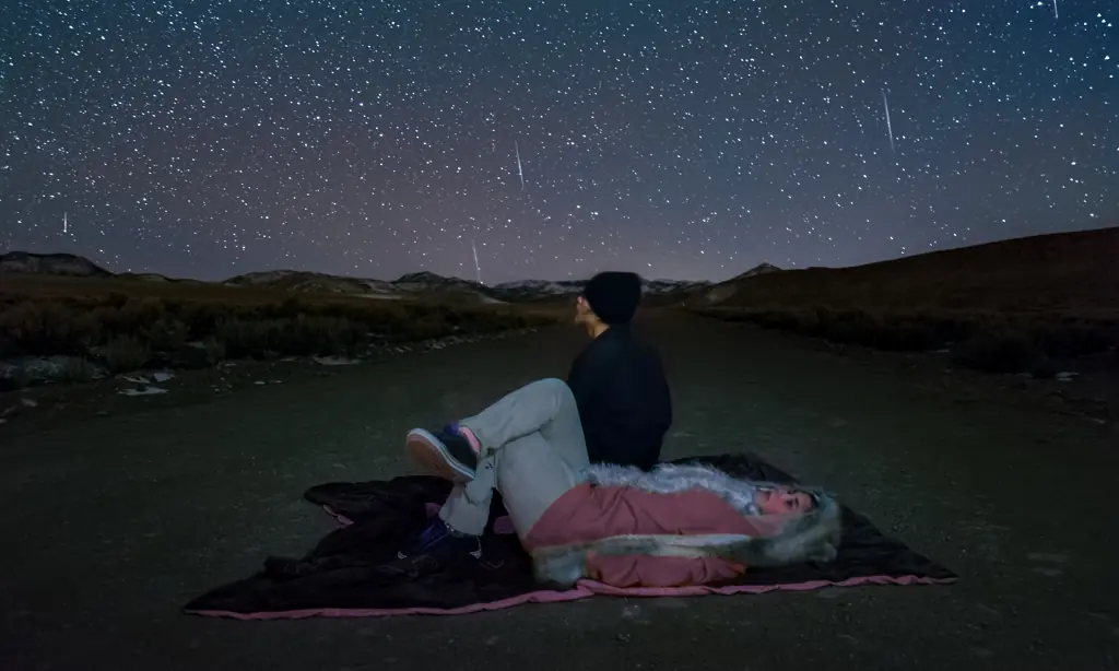 Two people watching a meteor shower. Credit: Harpazo_hope