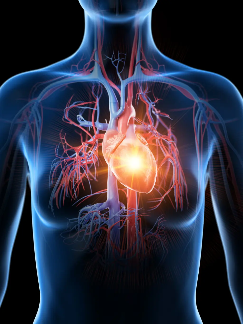 Indigestion can be a crucial early warning sign of a heart attack to come. Credit: SEBASTIAN KAULITZKI/SCIENCE PHOTO LIBRARY/Getty Images 