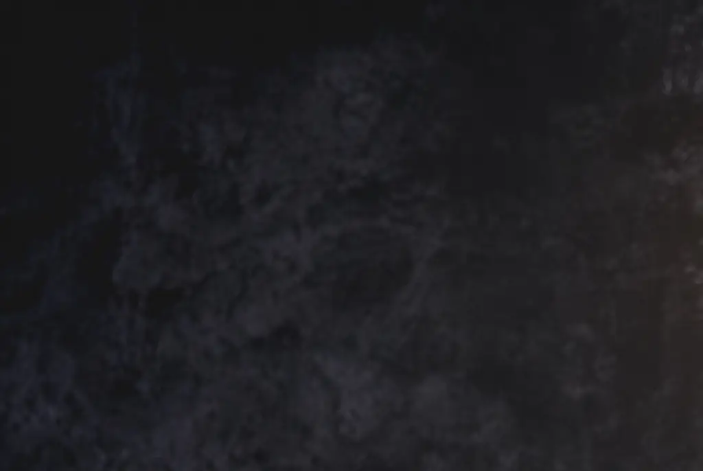 Woman who lived to 117 revealed she ate the same thing every day after making change to her diet