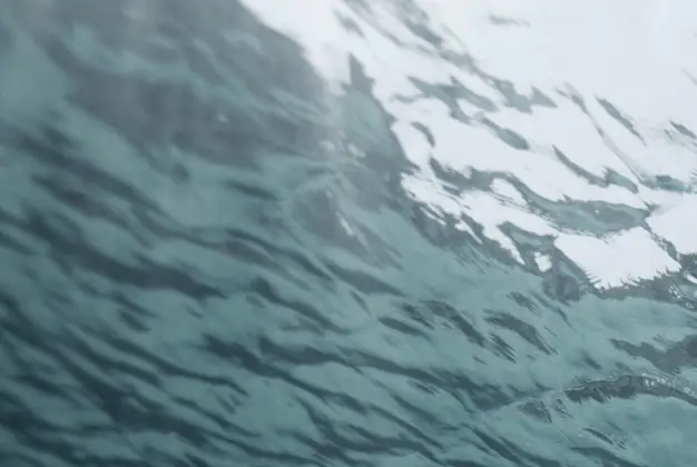 Warning issued after 31-year-old man dies after going for a swim just days after getting a tattoo