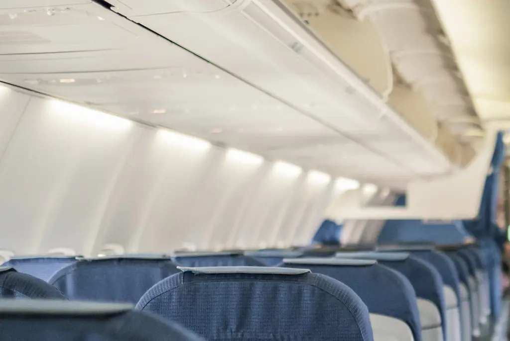 The plane made an emergency landing after Sydney suddenly fell ill. Credit: EllenMoran/Getty Images