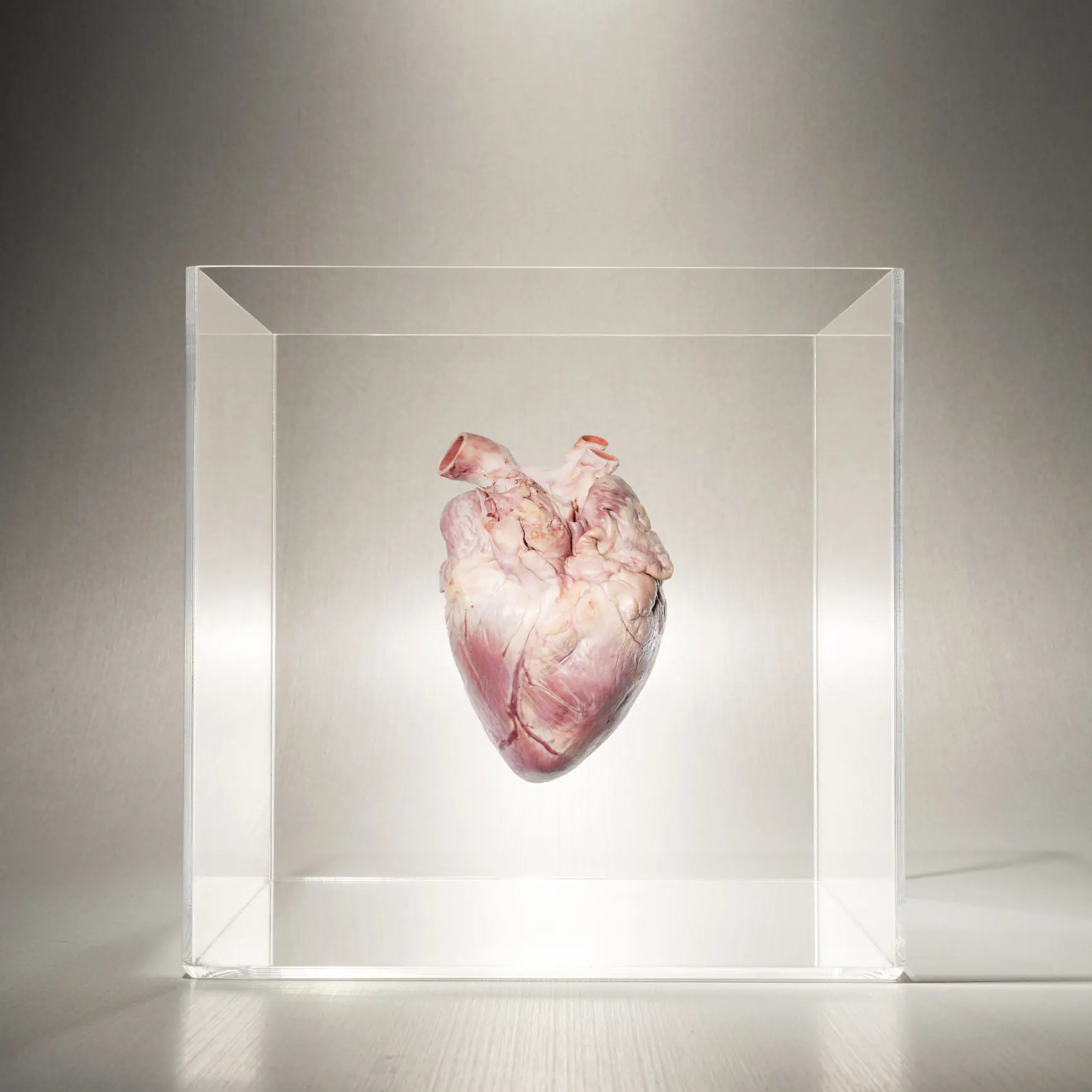 Being able to grow organs in a lab could be a gamechanger for many diseases. Credit: PM Images/Getty Images 