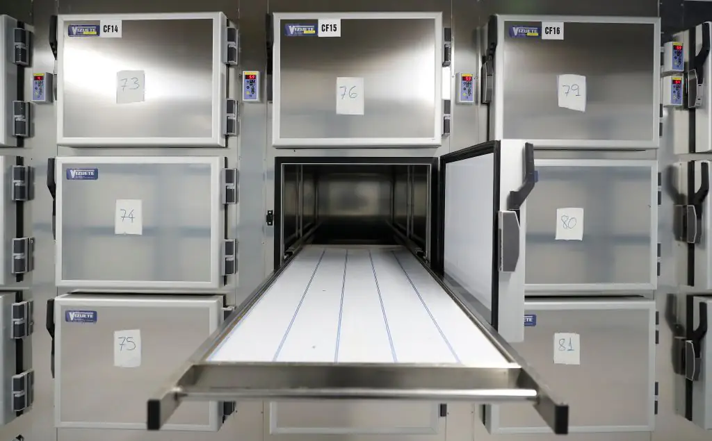 Her body had actually been in storage for a year. (stock image) Credit: Comunidad de Madrid - Handout/Getty Images