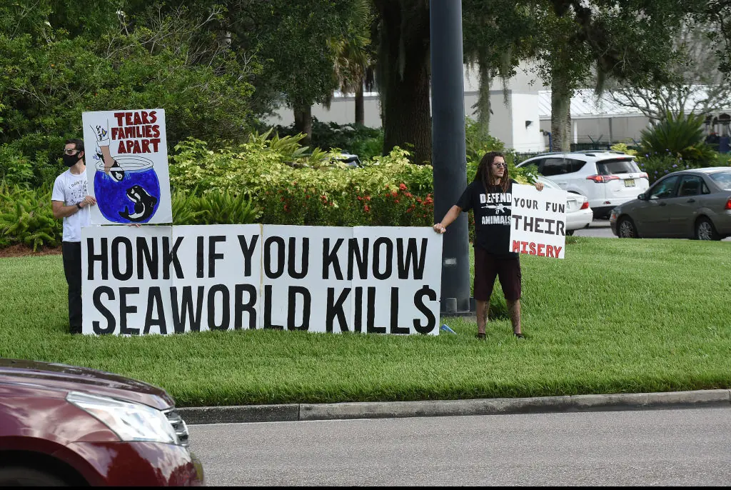 The footage of the incident has recently garnered traction online over a decade after it was originally released. Credit: Paul Hennessy/NurPhoto/Getty 