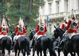 Royal horses bolt through London, 3 months after previous incident