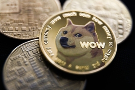 Kabosu, the dog behind the 'doge' internet meme, has died