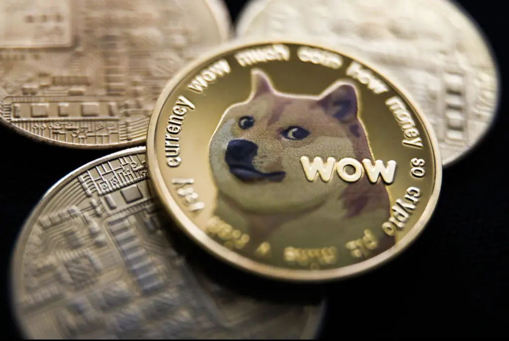 Kabosu, the dog behind the 'doge' internet meme, has died