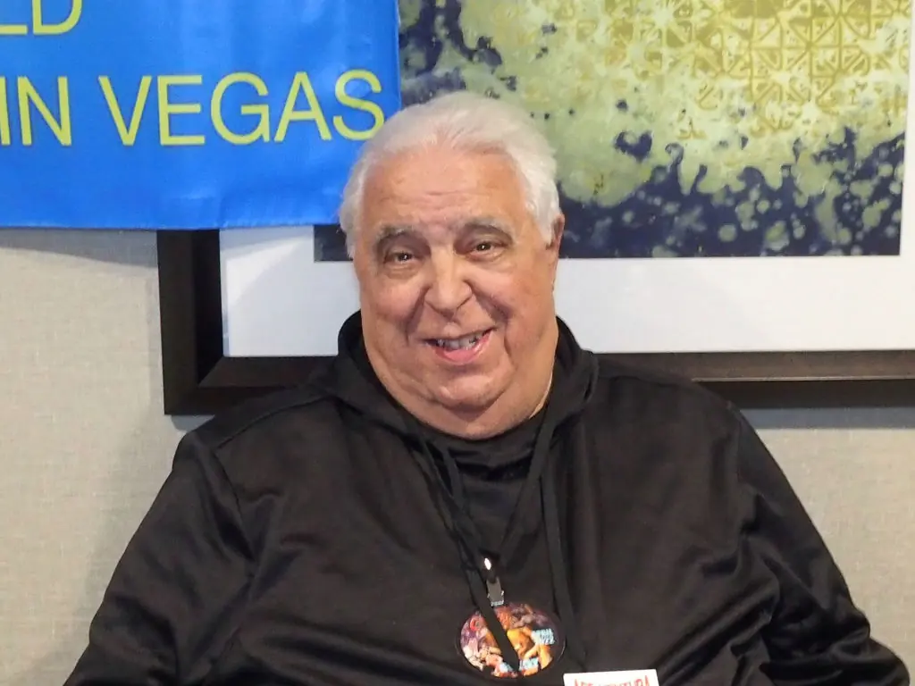 Credit: Bobby Bank / Getty