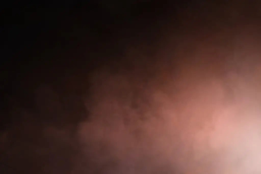 What would happen during the 'rapture' as people get ready for 'the end of the world' today