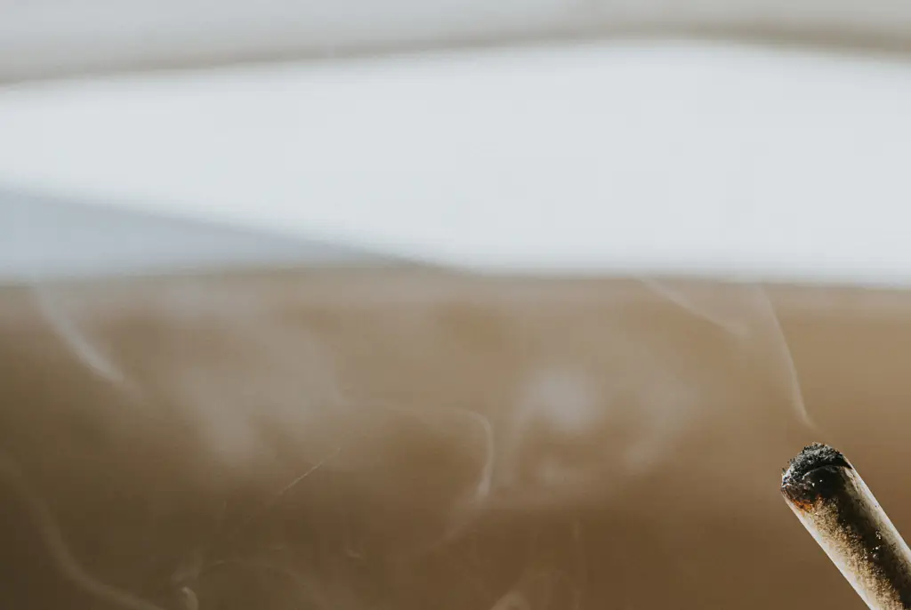 Where cannabis could be legalized in US as Trump considers making huge marijuana law change