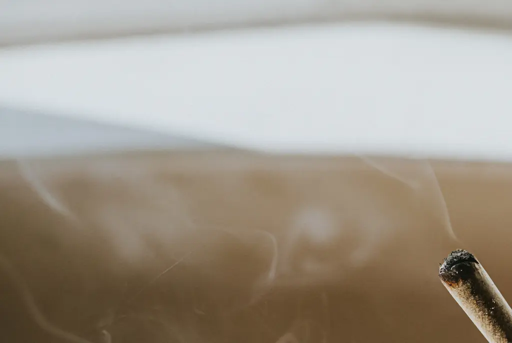 Where cannabis could be legalized in US as Trump considers making huge marijuana law change