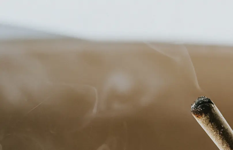 Lawyer reveals whether marijuana could be legalized as Trump considers making major U.S. law change