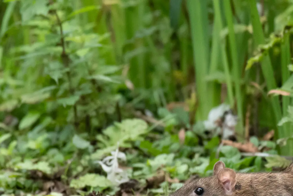 Credit: Alan Tunnicliffe Photography / Getty