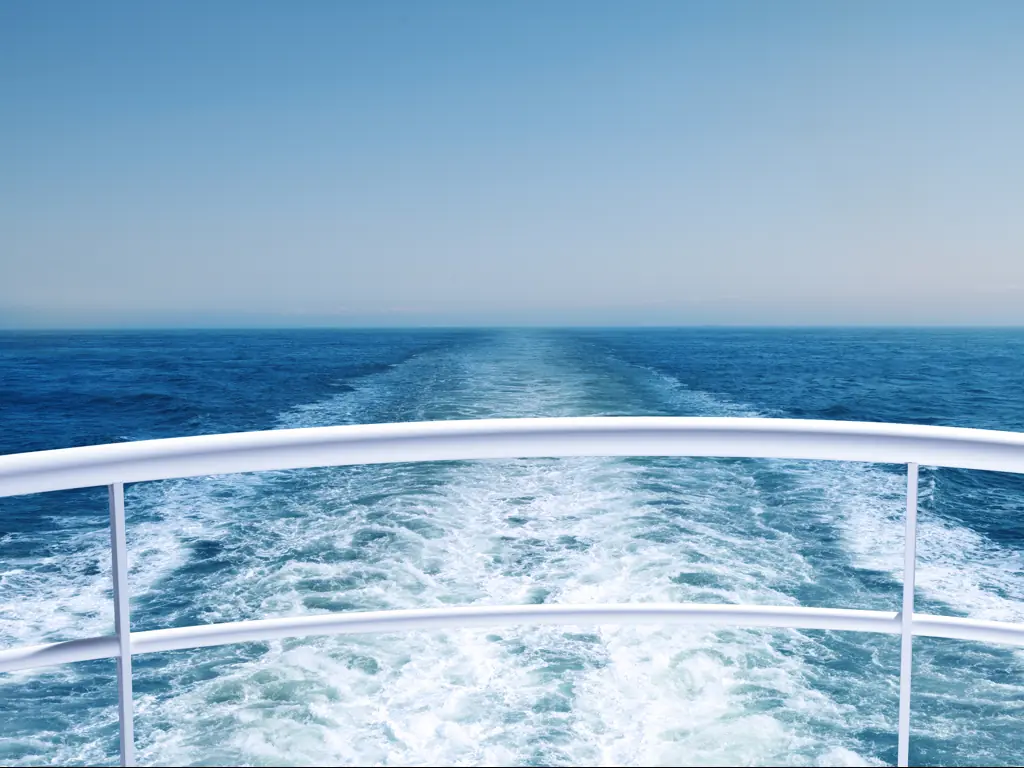 Company launches $6,000 'spicy cruise' as passengers are warned about three strict rules they must follow