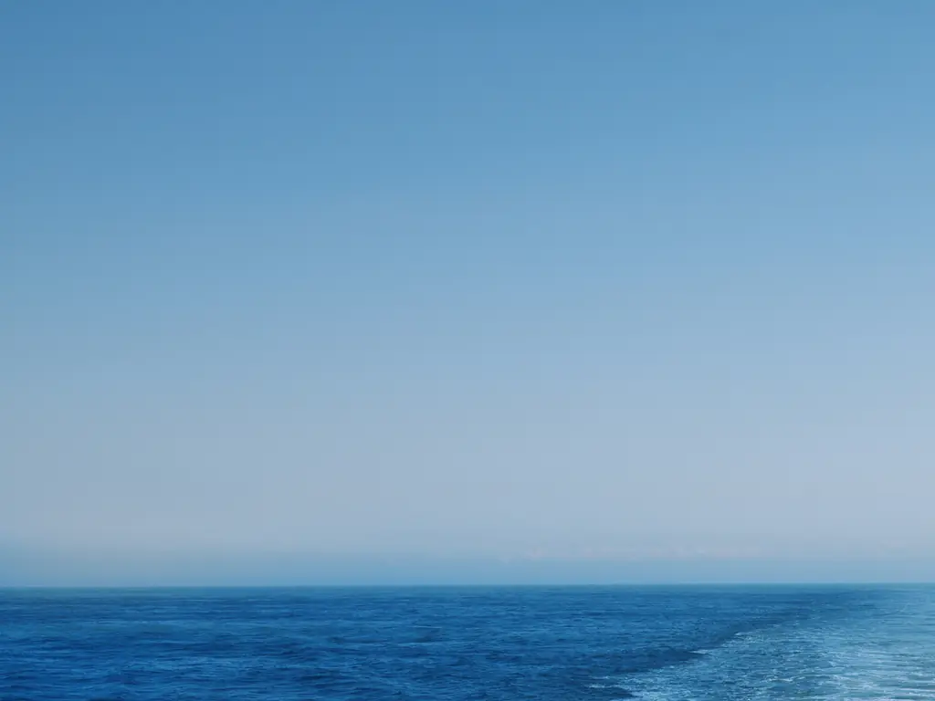 Would you bare all on a cruise? Credit: Jonathan Knowles/Getty