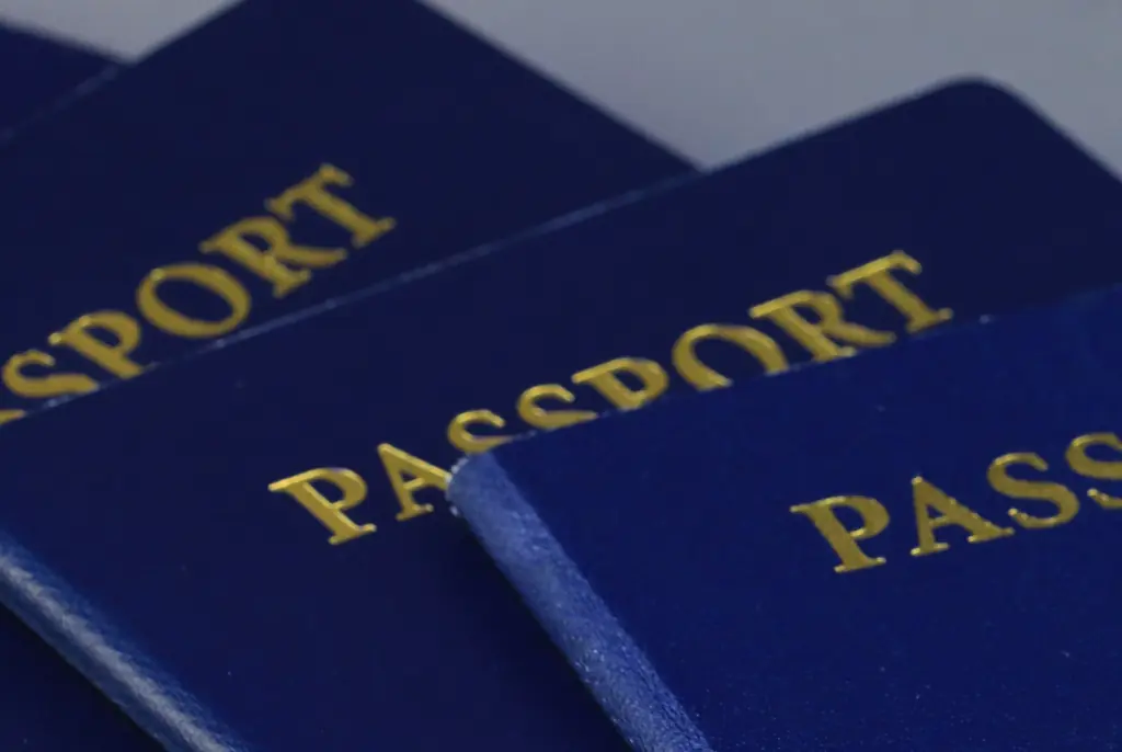 United Airlines flight forced to turn around 2 hours into 13-hour flight as pilot realizes he's forgotten his passport