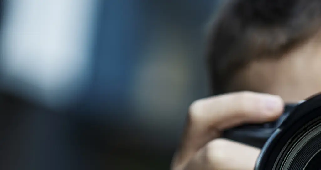 Photographer captured two widowed penguins hugging each other and 'admiring skyline view' in award winning photo