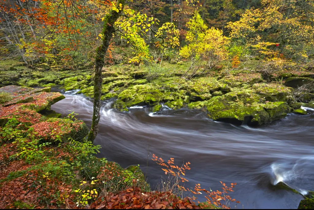 A YouTuber used a GoPro to capture what lies beneath The Strid. Credit: Loop Images / Getty