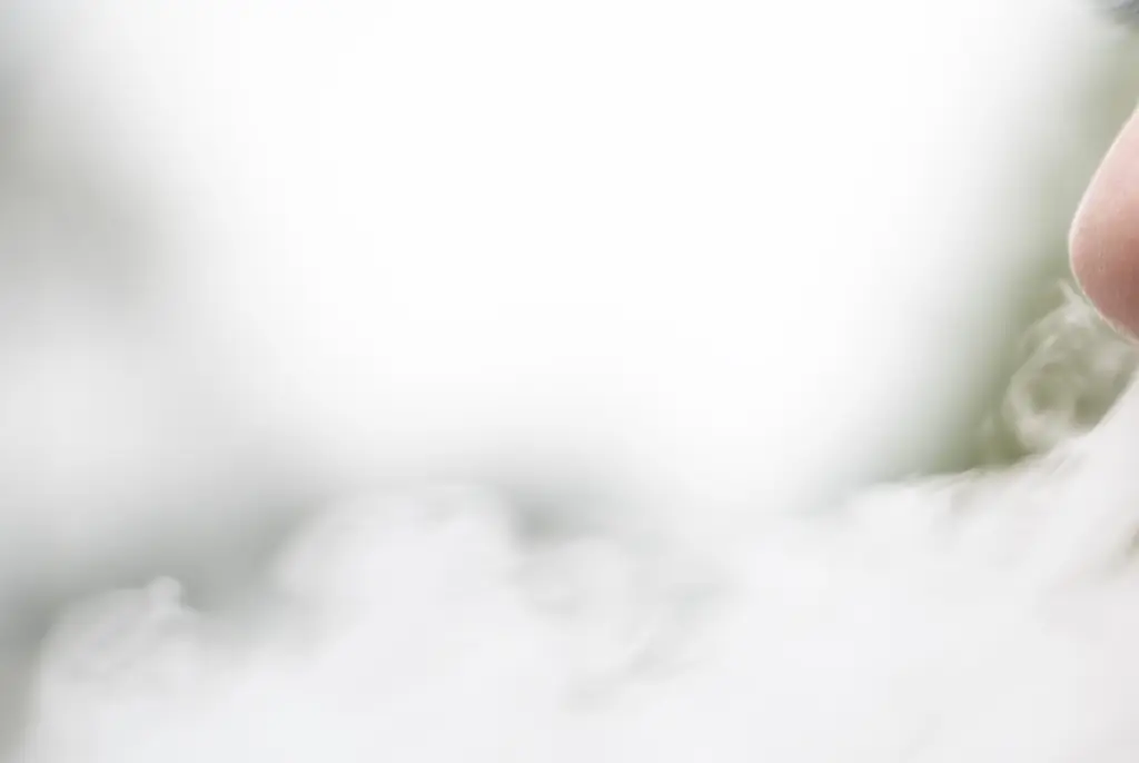 Popular brands of vapes including Elf Bars and GeekVape. Credit: Seksan Mongkhonkhamsa/Gettyo