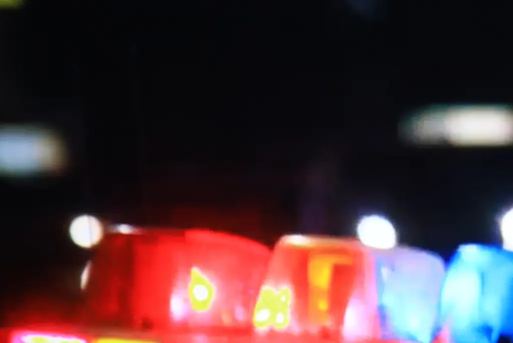 Police had performed 'wellness check' four days before girl, 4, was finally found alive in apartment with 'bug-covered' bodies of mom and brother, 8