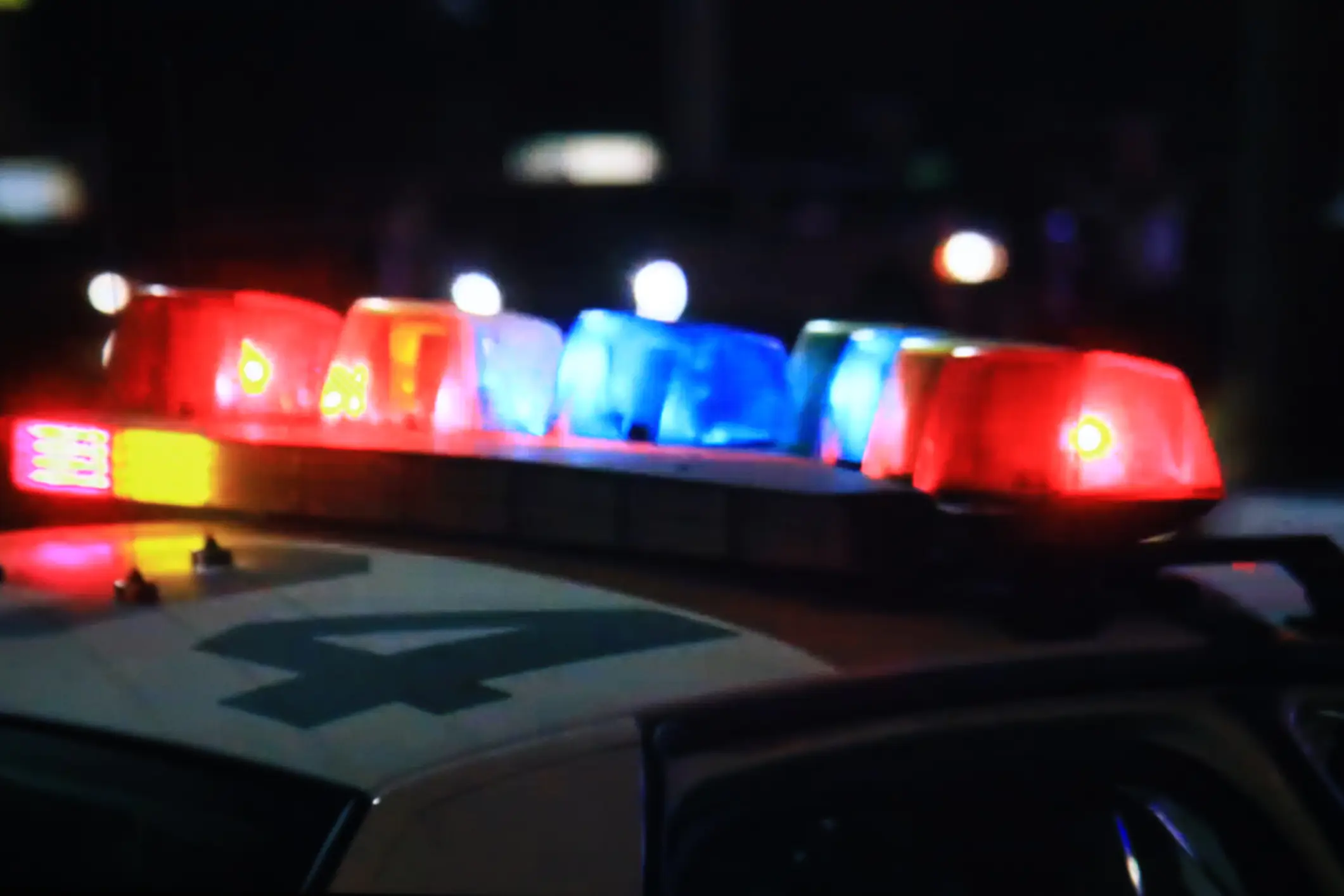 Police had performed 'wellness check' four days before girl, 4, was finally found alive in apartment with 'bug-covered' bodies of mom and brother, 8
